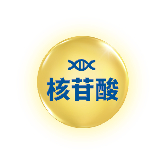 核苷酸 後天保護再強化