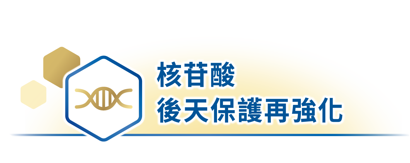 核苷酸 後天保護再強化