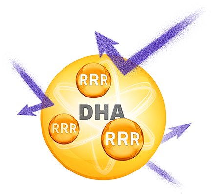 RRR感知元 保護DHA